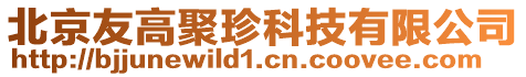 北京友高聚珍科技有限公司