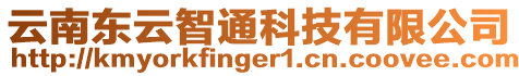 云南東云智通科技有限公司