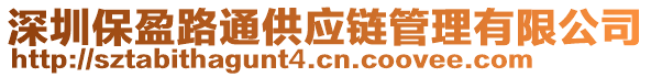 深圳保盈路通供應(yīng)鏈管理有限公司