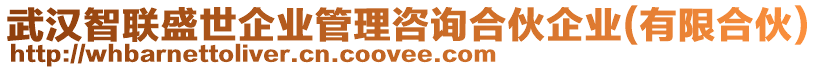武漢智聯(lián)盛世企業(yè)管理咨詢合伙企業(yè)(有限合伙)