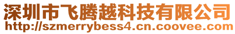 深圳市飛騰越科技有限公司