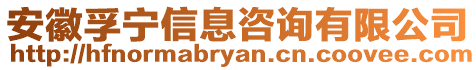 安徽孚寧信息咨詢有限公司