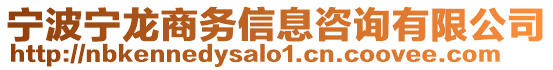 寧波寧龍商務信息咨詢有限公司