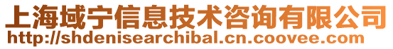 上海域寧信息技術咨詢有限公司