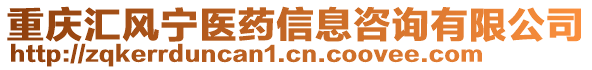 重慶匯風(fēng)寧醫(yī)藥信息咨詢有限公司
