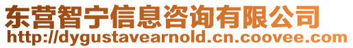 東營(yíng)智寧信息咨詢有限公司