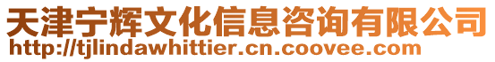 天津寧輝文化信息咨詢有限公司