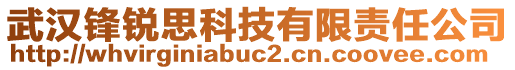 武漢鋒銳思科技有限責(zé)任公司