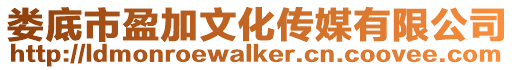 婁底市盈加文化傳媒有限公司