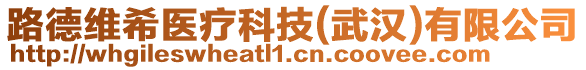 路德維希醫療科技(武漢)有限公司