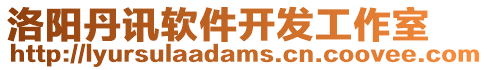 洛陽丹訊軟件開發(fā)工作室