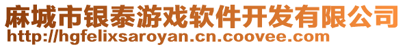 麻城市銀泰游戲軟件開(kāi)發(fā)有限公司