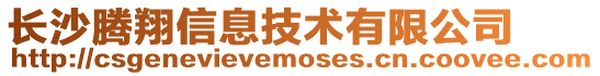 長(zhǎng)沙騰翔信息技術(shù)有限公司