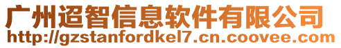 廣州迢智信息軟件有限公司