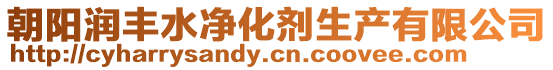 朝陽潤豐水凈化劑生產(chǎn)有限公司