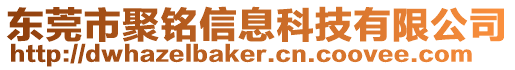 東莞市聚銘信息科技有限公司