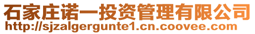 石家莊諾一投資管理有限公司