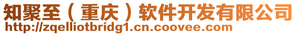 知聚至（重慶）軟件開發(fā)有限公司