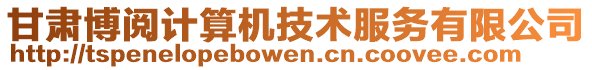 甘肅博閱計算機技術服務有限公司