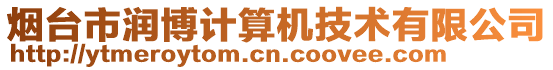 煙臺市潤博計算機技術有限公司