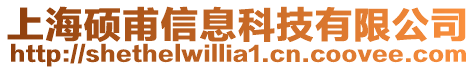 上海碩甫信息科技有限公司