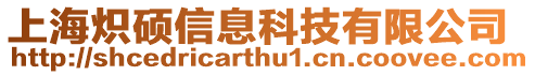 上海熾碩信息科技有限公司