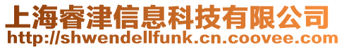 上海睿津信息科技有限公司