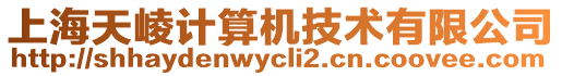 上海天崚計算機技術有限公司