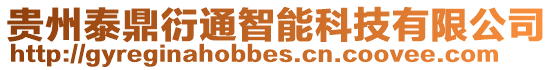 貴州泰鼎衍通智能科技有限公司