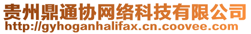 貴州鼎通協(xié)網(wǎng)絡(luò)科技有限公司