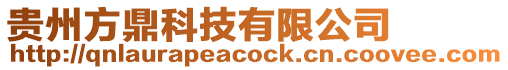 貴州方鼎科技有限公司