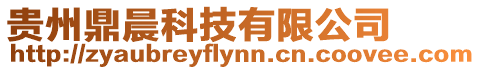 貴州鼎晨科技有限公司