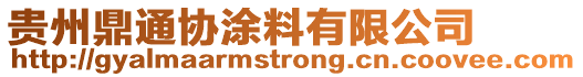 貴州鼎通協涂料有限公司