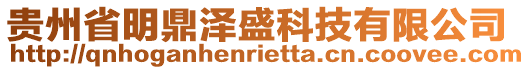 貴州省明鼎澤盛科技有限公司