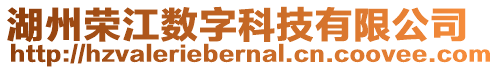 湖州榮江數字科技有限公司