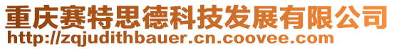 重慶賽特思德科技發展有限公司