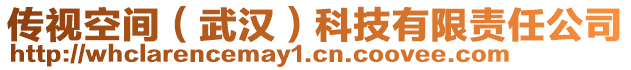 傳視空間(武漢)科技有限責任公司