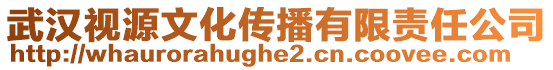 武漢視源文化傳播有限責任公司