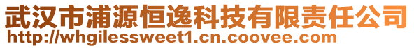 武漢市浦源恒逸科技有限責任公司
