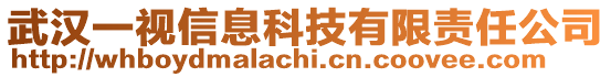 武汉一视信息科技有限责任公司