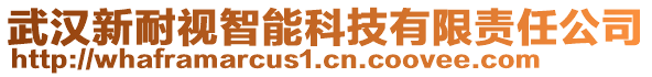 武汉新耐视智能科技有限责任公司