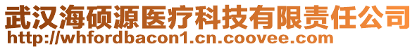 武漢海碩源醫療科技有限責任公司