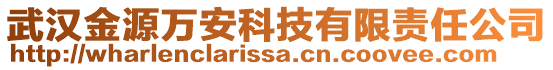 武汉金源万安科技有限责任公司