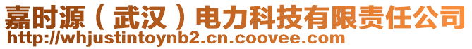 嘉时源（武汉）电力科技有限责任公司