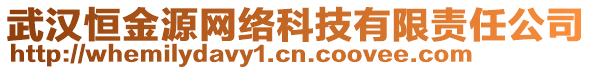 武汉恒金源网络科技有限责任公司