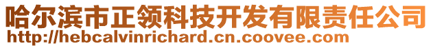 哈尔滨市正领科技开发有限责任公司