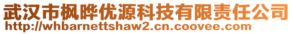 武漢市楓曄優(yōu)源科技有限責(zé)任公司