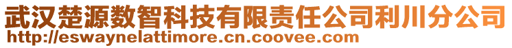 武漢楚源數智科技有限責任公司利川分公司