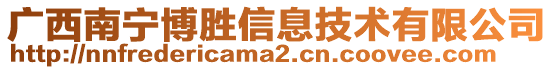 广西南宁博胜信息技术有限公司