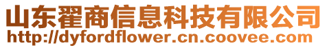 山东翟商信息科技有限公司